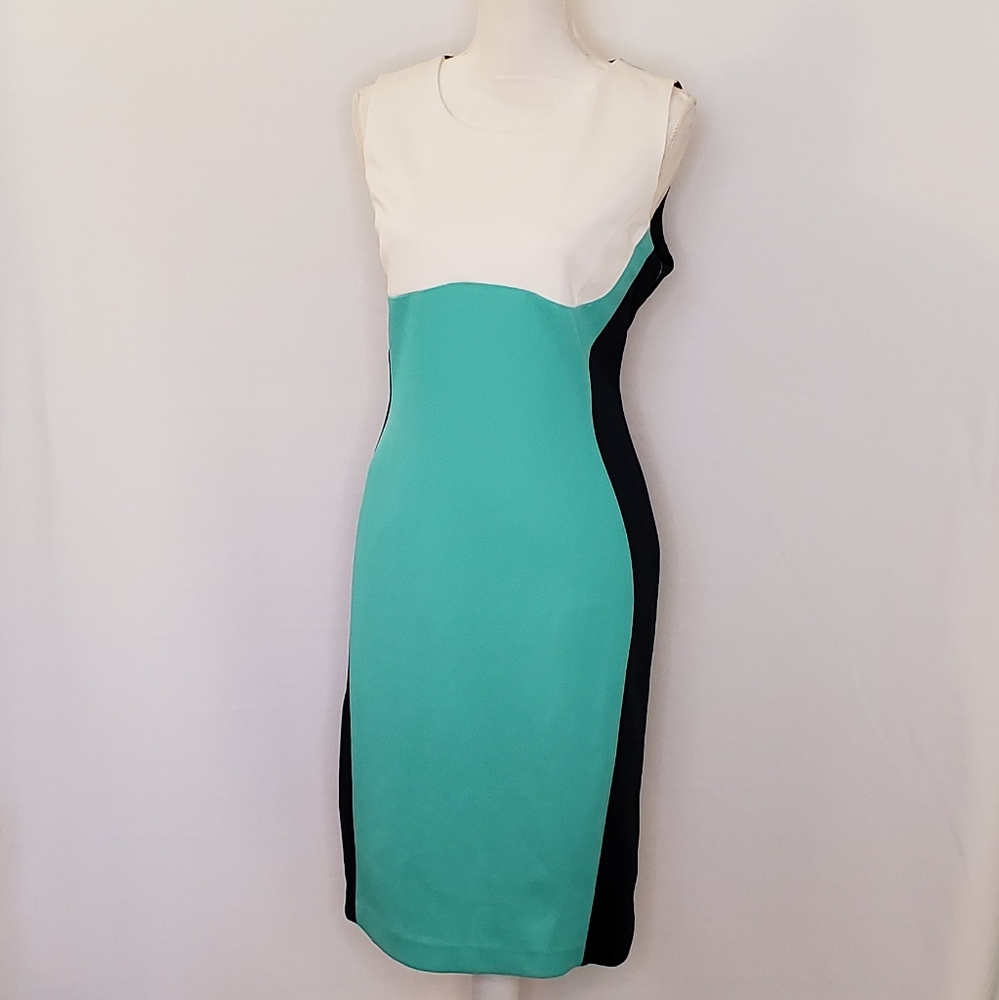 NWT Colorblock Dress